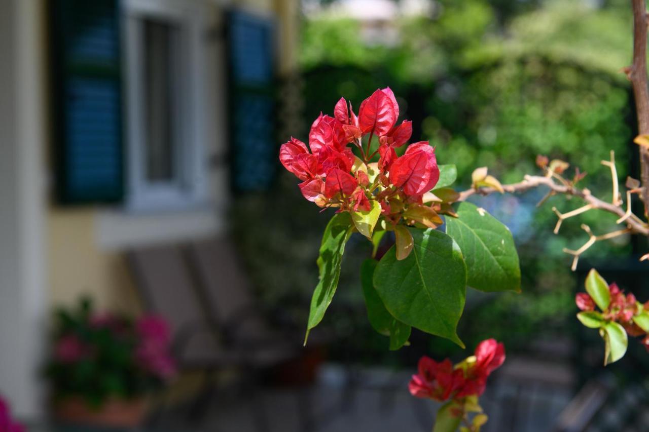 Nostalgia Corfu Town Apartments エクステリア 写真